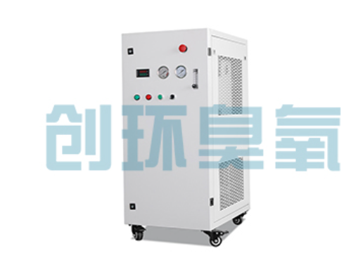 铜仁石斑鱼养殖水质调控完整指南:臭氧发生器配置与操作步骤