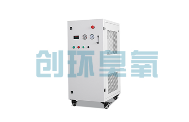 铜仁比传统换水更高效?臭氧发生器在石斑鱼养殖中的水质净化原理解析